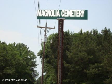 Magnolia sign