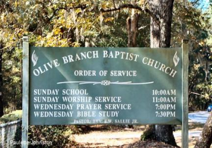 Olive Branch Sign