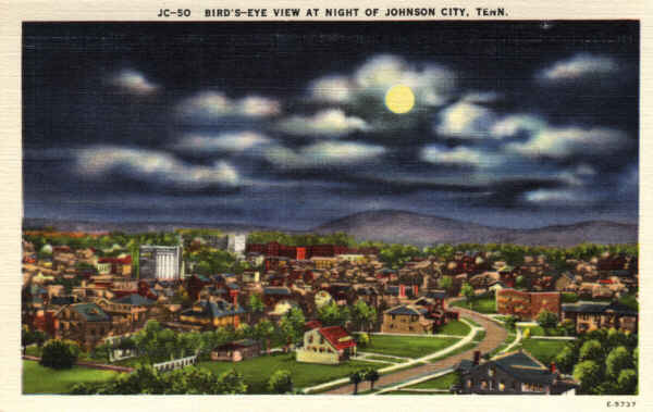 Johnson City Bird's Eye View Vintage Postcard