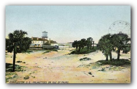 Isle of Palms Vintage Postcard